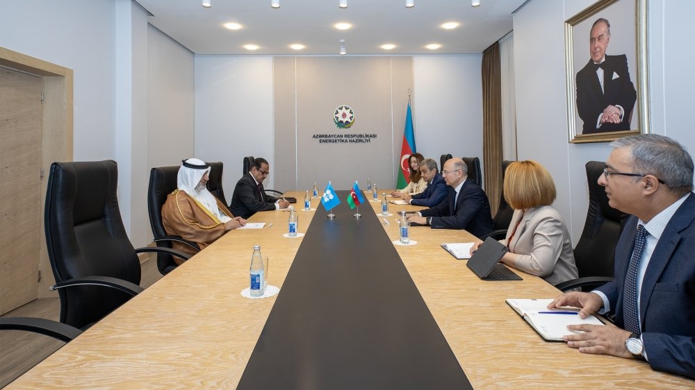 Azerbaijani Energy Minister meets with OPEC Secretary General