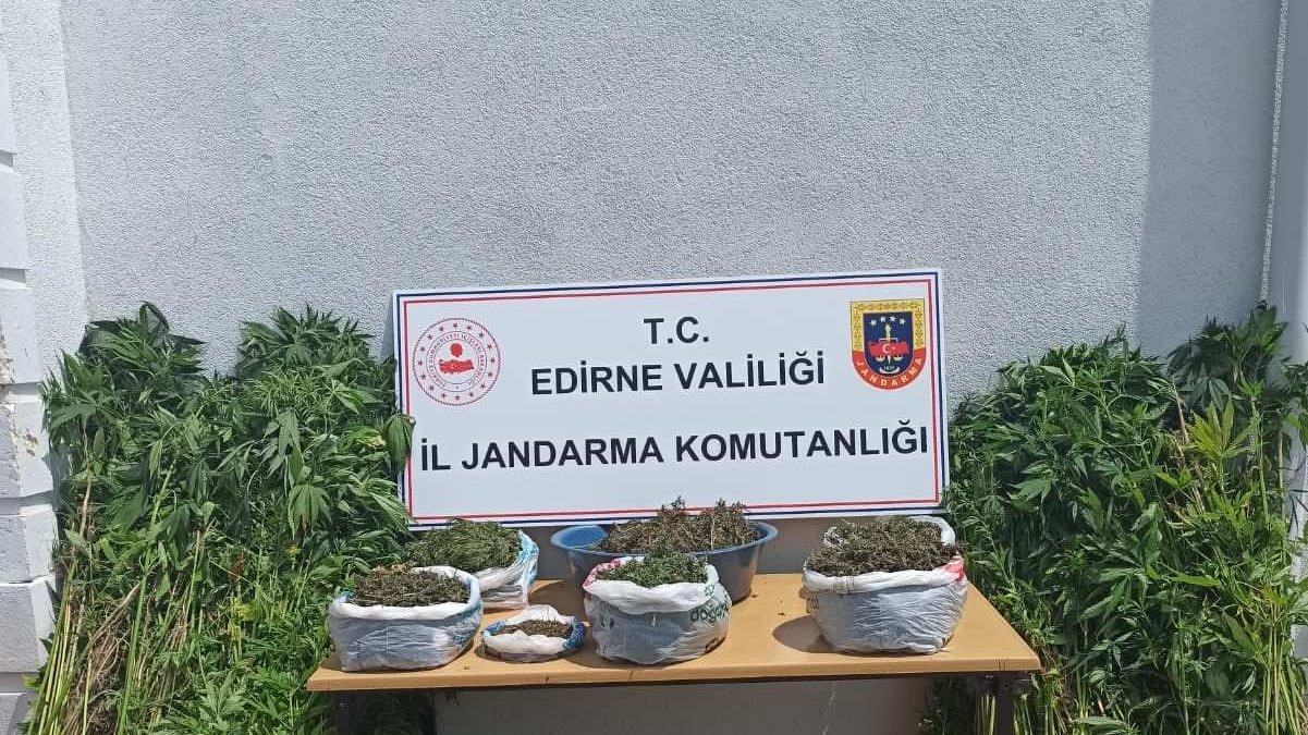 Edirne’de 11 kilo esrar ve 3 bin 692 kök Hint keneviri ele geçirildi