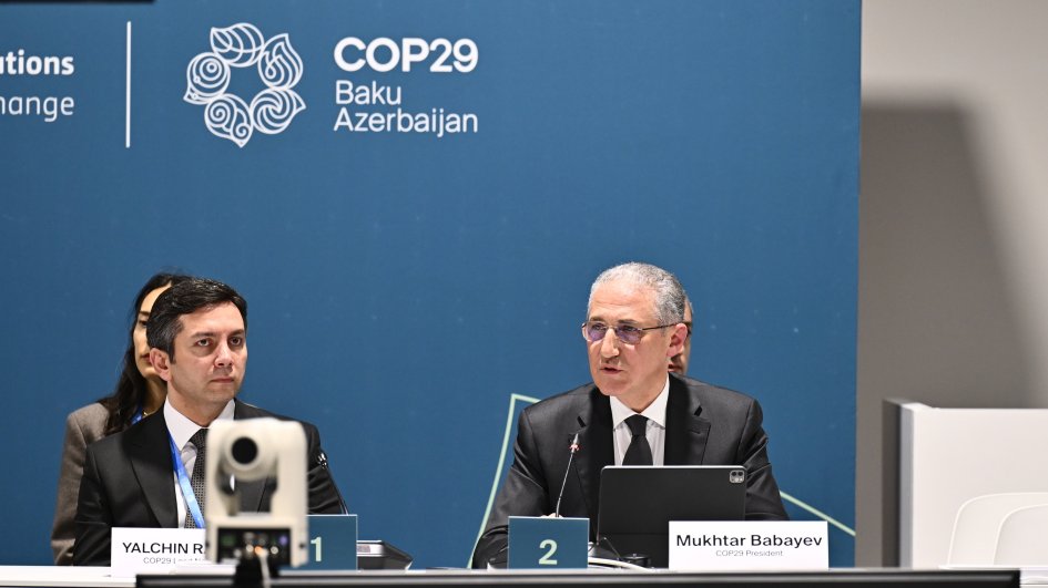 COP29 çərçivəsində iqlim maliyyələşdirilməsi imkanlarına həsr olunmuş yüksəksəviyyəli dəyirmi masa təşkil olunub FOTO