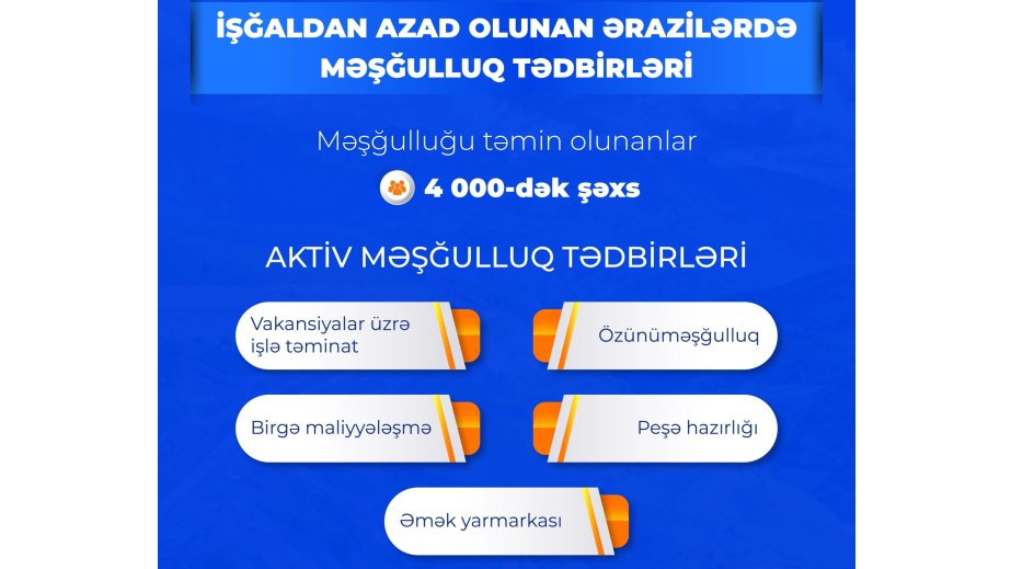 Doğma yurdlarına qayıdan 4 minədək şəxsin məşğulluğu təmin edilib