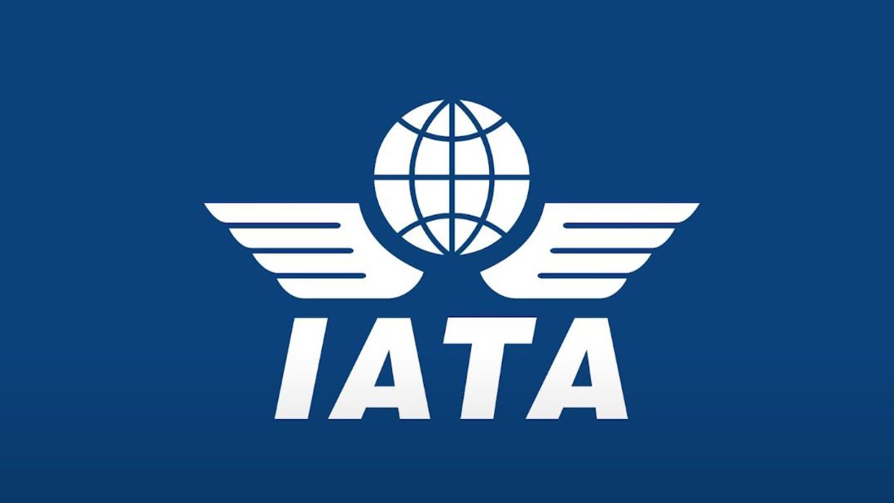 IATA AZAL təyyarə qəzasının hərtərəfli, qərəzsiz və şəffaf araşdırılmasını tələb edir