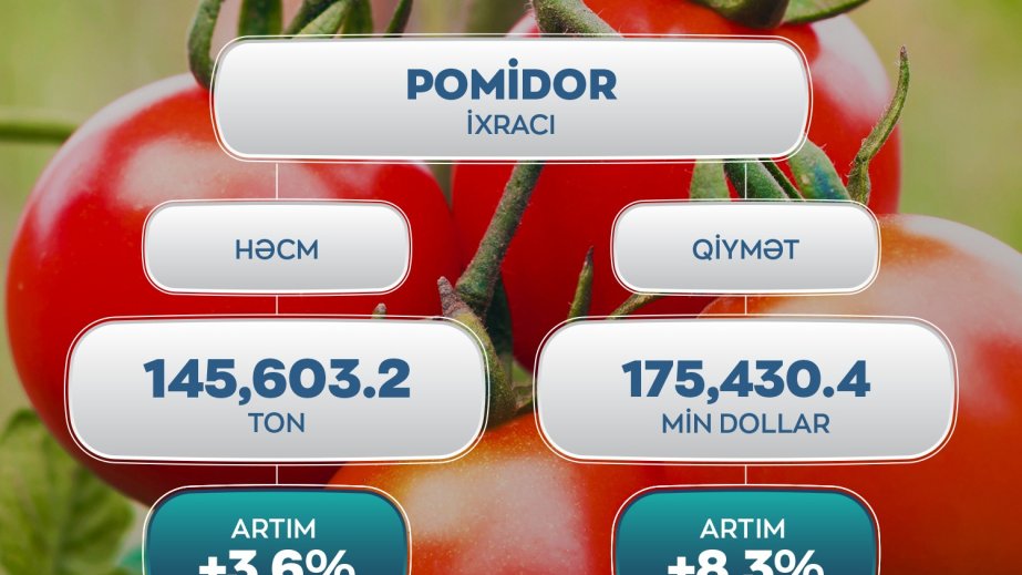 Ötən il Azərbaycandan xarici bazarlara pomidor ixracında 3,6 faiz artım qeydə alınıb