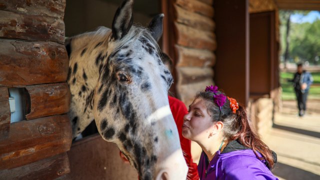 Otizmli çocuklar, atlı terapiyle fiziksel, duygusal iyileşme sağlıyor