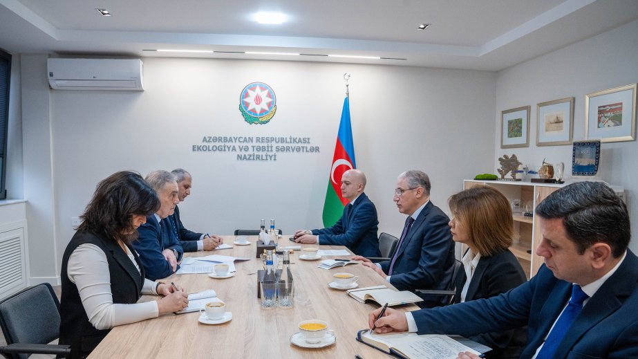 Qara Dəniz İqtisadi Əməkdaşlıq Təşkilatının Baş katibi ilə COP29-un nəticələri barədə fikir mübadiləsi aparılıb