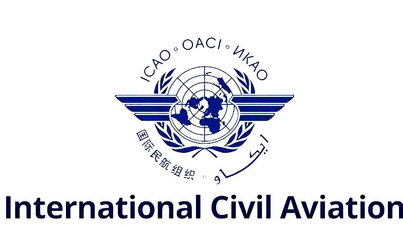 ICAO Qazaxıstanın AZAL-a məxsus təyyarənin qəzasının araşdırılmasına dair ilkin hesabatını yüksək qiymətləndirir