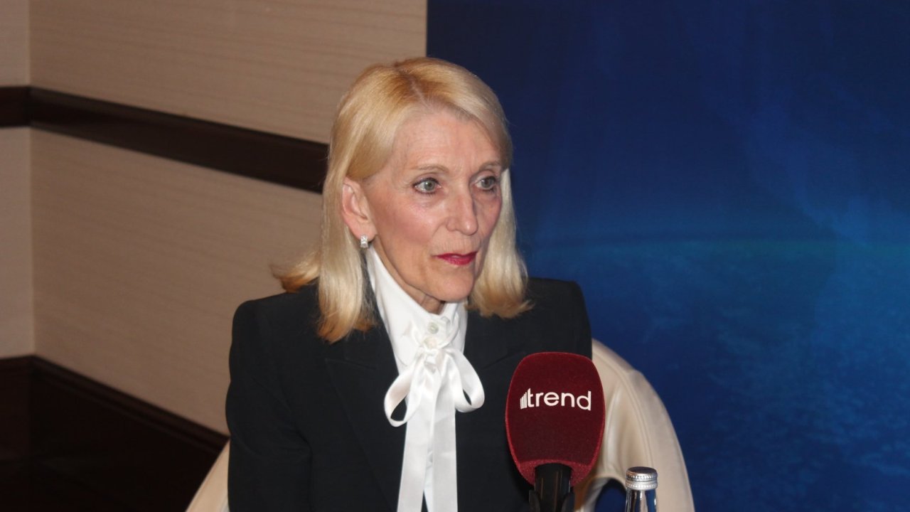 Azerbaijan holds potential to supply renewables to West - former VP of ExxonMobil